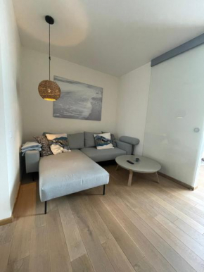 Vanagupės Apartamentai, Palanga
